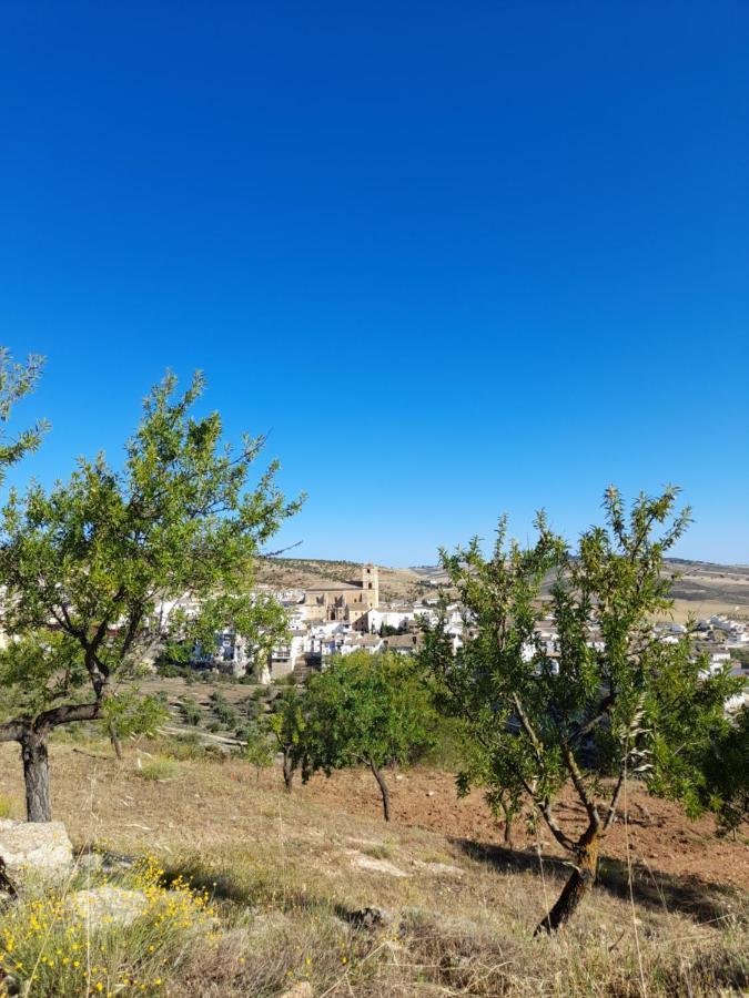 La Casita De Papel Alhama De Granada Villa Exteriör bild